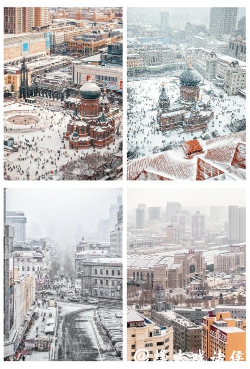 镜头里的冬日哈尔滨 镜头里的冬日哈尔滨